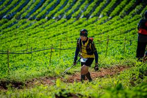 BIB: 
                            <button type="button" onclick="openModal(19161750)" class="btn btn-primary btn-sm float-right btn-popup" data-toggle="modal" data-target=".modal-high-quality">
                        <i class="fas fa-shopping-cart"></i> Add to Cart
                    </button>
                                            <button type="button" onclick="isThisMe(19161750, true)" class="btn btn-success btn-sm float-right btn-popup btn-isme hidden" data-toggle="tooltip" data-placement="bottom" title="นี่คือรูปของคุณใช่ไหม คลิกที่นี่เพื่อเอาเข้าอัลบั้ม">
                        <i class="fas fa-plus"></i> Add to album
                    </button>
                    <button type="button" onclick="isThisMe(19161750, false)" class="btn btn-warning btn-sm float-right btn-popup btn-isnotme hidden">
                        <i class="fas fa-ban"></i> Remove from album
                    </button>